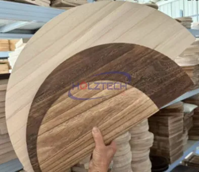 HOLZTECH MFB4023 Dual Swing Arm Automatic Curve Edge Bander - detail image 3
